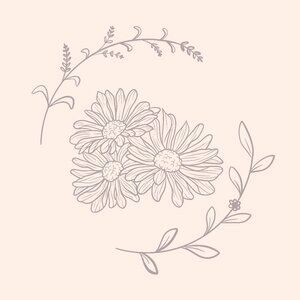 Meet your Posher, Pam